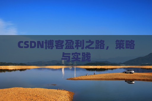 CSDN博客盈利之路,策略与实践